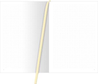 myNOTES Papeterie: Notizbuch A5 Ballon