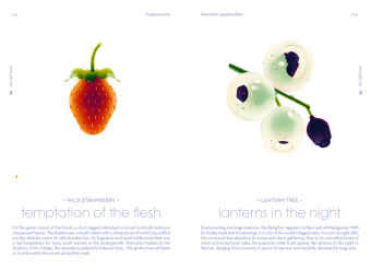 Seeds