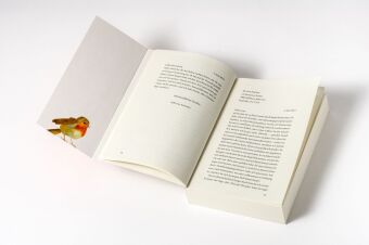 Die Briefeschreiberin
