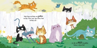 Miau, MIAUUU! Wer ist die größte Katze im Buch?