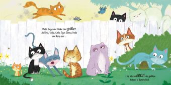 Miau, MIAUUU! Wer ist die größte Katze im Buch?