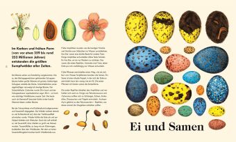 Das Wunder des Lebens