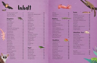 Mein liebstes Buch der Tiere der Nacht