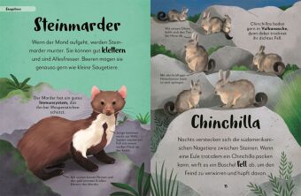Mein liebstes Buch der Tiere der Nacht