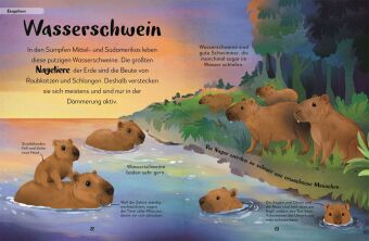 Mein liebstes Buch der Tiere der Nacht