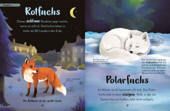 Mein liebstes Buch der Tiere der Nacht