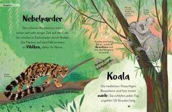 Mein liebstes Buch der Tiere der Nacht