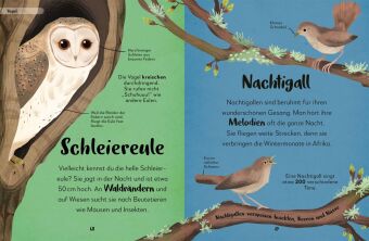 Mein liebstes Buch der Tiere der Nacht