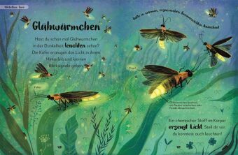 Mein liebstes Buch der Tiere der Nacht