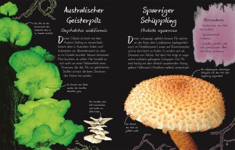 Wundervolle Welt - Kleine Schätze. Pilze