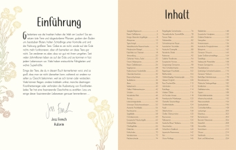 Wundervolle Welt der Insekten und Spinnentiere