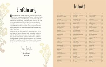 Wundervolle Welt der Insekten und Spinnentiere