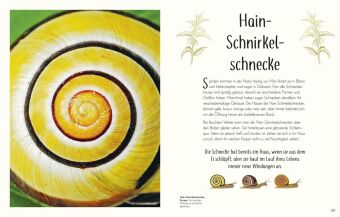 Wundervolle Welt der Insekten und Spinnentiere