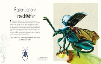 Wundervolle Welt der Insekten und Spinnentiere