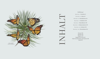 Insekten