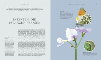 Insekten