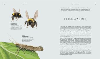 Insekten