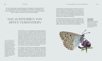 Insekten