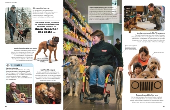 memo Wissen. Hunde