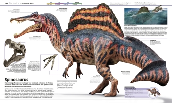 DK Wissen. Dinosaurier