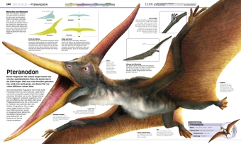 DK Wissen. Dinosaurier