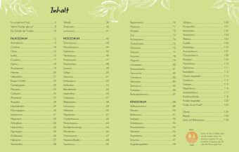 Wundervolle Welt - Kleine Schätze. Fossilien