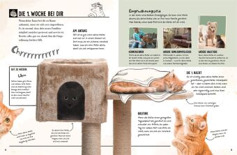 Meine Katze