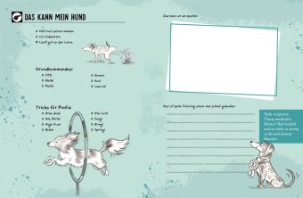 Mein Hund