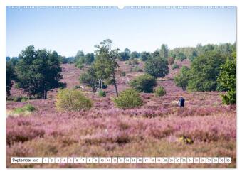 Radland Deutschland - Lüneburger Heide (Wandkalender 2027 DIN A2 quer), CALVENDO Monatskalender