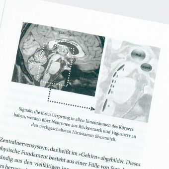 Natürliche Intelligenz und Bewusstsein in Zeiten von KI