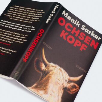 Ochsenkopf