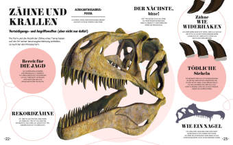 5-Minuten Wissen Dinosaurier