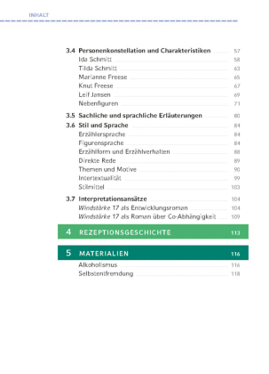 Windstärke 17 von Caroline Wahl
