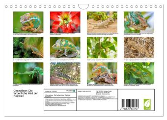 Chamäleon: Die farbenfrohe Welt der Reptilien (Wandkalender 2027 DIN A4 quer), CALVENDO Monatskalender