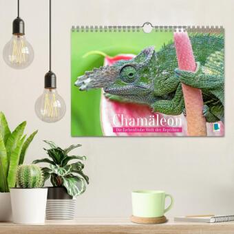 Chamäleon: Die farbenfrohe Welt der Reptilien (Wandkalender 2027 DIN A4 quer), CALVENDO Monatskalender