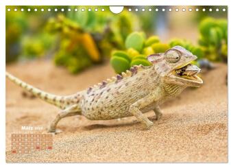 Chamäleon: Die farbenfrohe Welt der Reptilien (Wandkalender 2027 DIN A4 quer), CALVENDO Monatskalender
