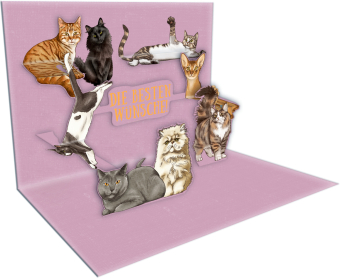 Pop-up-Grußkarte - I love Cats