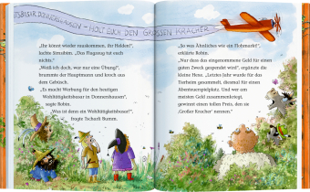 Der wilde Räuber Donnerpups (Erstlesebuch, 