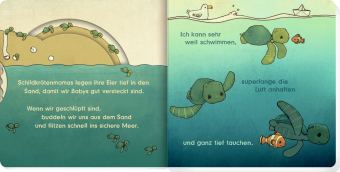 Kleine Schildkröte, erzähl mir von dir