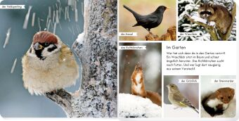 Meine liebsten Tiere im Winter