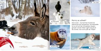 Meine liebsten Tiere im Winter