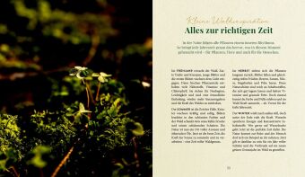 Waldgenuss für dich