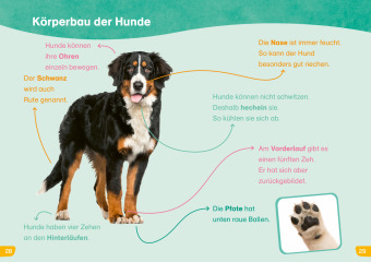 WAS IST WAS Erstes Lesen easy! Hunde - meine Lieblingstiere