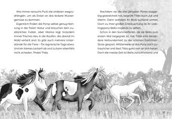 Die Waldponys (Band 2) - Vier Hufe retten den Schulausflug