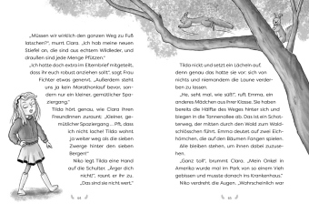 Die Waldponys (Band 2) - Vier Hufe retten den Schulausflug