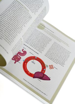 Die Ernährungs-Docs - Cholesterin senken - Unsere 100 besten Rezepte