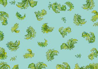 Triceratops Honigpops 1: Die Sache mit dem Saurier
