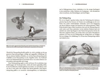 Der Spatz