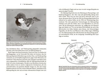 Der Spatz