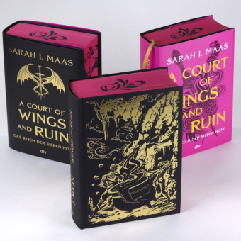 A Court of Wings and Ruin